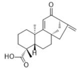 12-氧代大花蟛蜞菊烯酸標準品