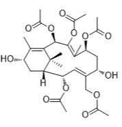 13-脫乙酰紫杉三烯A標準品
