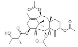 云南紅豆杉甲素標(biāo)準(zhǔn)品