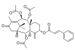 紫杉寧標(biāo)準(zhǔn)品