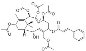 2-脫乙酰紫杉醇X標準品