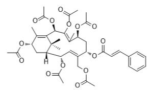 紅豆杉X標(biāo)準(zhǔn)品