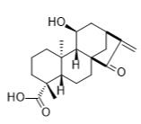 ent-11α-Hydroxy-15-oxokaur-16-en-19-oic acid標準品