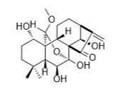 牛尾草素 F標(biāo)準(zhǔn)品
