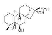貝殼杉烷-6β,16,17-三醇標準品