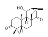 ent-11β-Hydroxyatis-16-ene-3,14-dione標準品