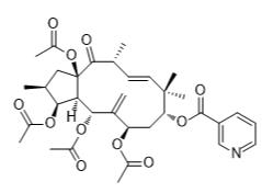 3,5,7,15-四乙酰氧基-9-煙酰氧基-6（17），11-麻風樹酯-14-一標準品