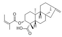 ent-3β-Angeloyloxykaur-16-en-19-oic acid標準品