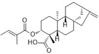 ent-3β-Tigloyloxykaur-16-en-19-oic acid標準品