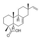 異海松酸標(biāo)準(zhǔn)品