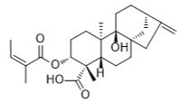 3α-Angeloyloxypterokaurene L3標準品