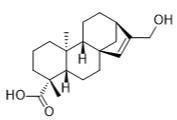 17-羥基喹啉-15-烯-19-油酸標準品