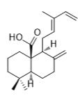 8(17),12E,14-Labdatrien-20-oic acid標準品