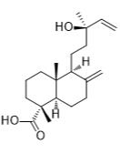 13-羥基賴百當-8(17),14-二烯-18-酸標準品