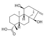 ent-11α，15α-二羥喹啉-16-烯-19-油酸標準品
