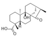 ent-9-Hydroxy-15-oxokauran-19-oic acid標準品