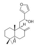 15,16-環氧-12R-羥基賴百當-8(17),13(16),14-三烯對照品標準品