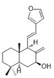 二羥丙茶堿A標(biāo)準(zhǔn)品