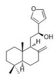 15,16-環氧-12R-羥基賴百當-8(17),13(16),14-三烯標準品