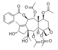 云南紅豆杉酯甲標(biāo)準(zhǔn)品