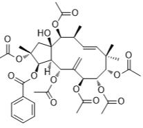麻瘋烷2標(biāo)準(zhǔn)品
