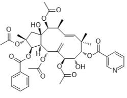 麻瘋烷5標(biāo)準(zhǔn)品