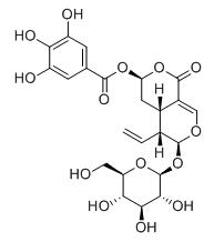 7β-沒食子酸酯標準品