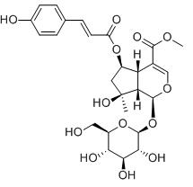 6-O-反-對-香豆酰基山芝苷甲酯標準品