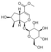 馬錢苷標(biāo)準(zhǔn)品