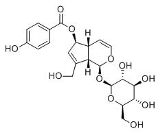 6-O-對羥基苯甲酰桃葉珊瑚苷標準品