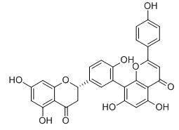 2,3-二氫穗花杉雙黃酮標(biāo)準(zhǔn)品