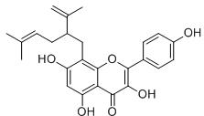 8-Lavandulylkaempferol標準品