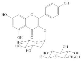 山柰酚-3-O-β-D-葡萄糖基(1-2)-α-L-鼠李糖苷對照品