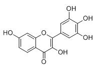 刺槐乙素標準品