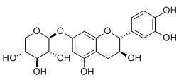兒茶素-7-O-木糖苷標準品