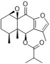 1β,10β-環(huán)氧-6β-異丁酰氧基-9-呋喃呋喃酮標(biāo)準(zhǔn)品