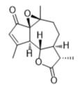 1β，10β-環氧脫乙酰氧基基質素標準品