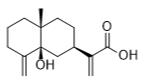 5β-羥基木香酸標準品