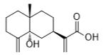 5α-Hydroxycostic acid標準品