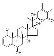 睡茄燈籠草素C標準品