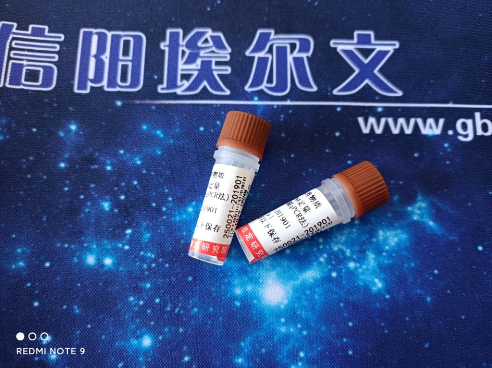Vero細胞DNA定量國家標準品