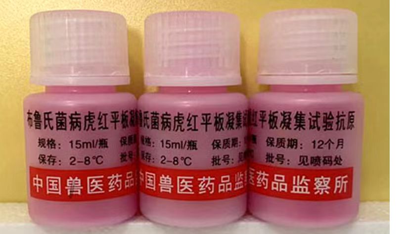 布魯氏菌病虎紅平板凝集試驗抗原