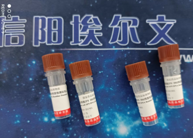 昆蟲細胞SF9殘留檢測標準品